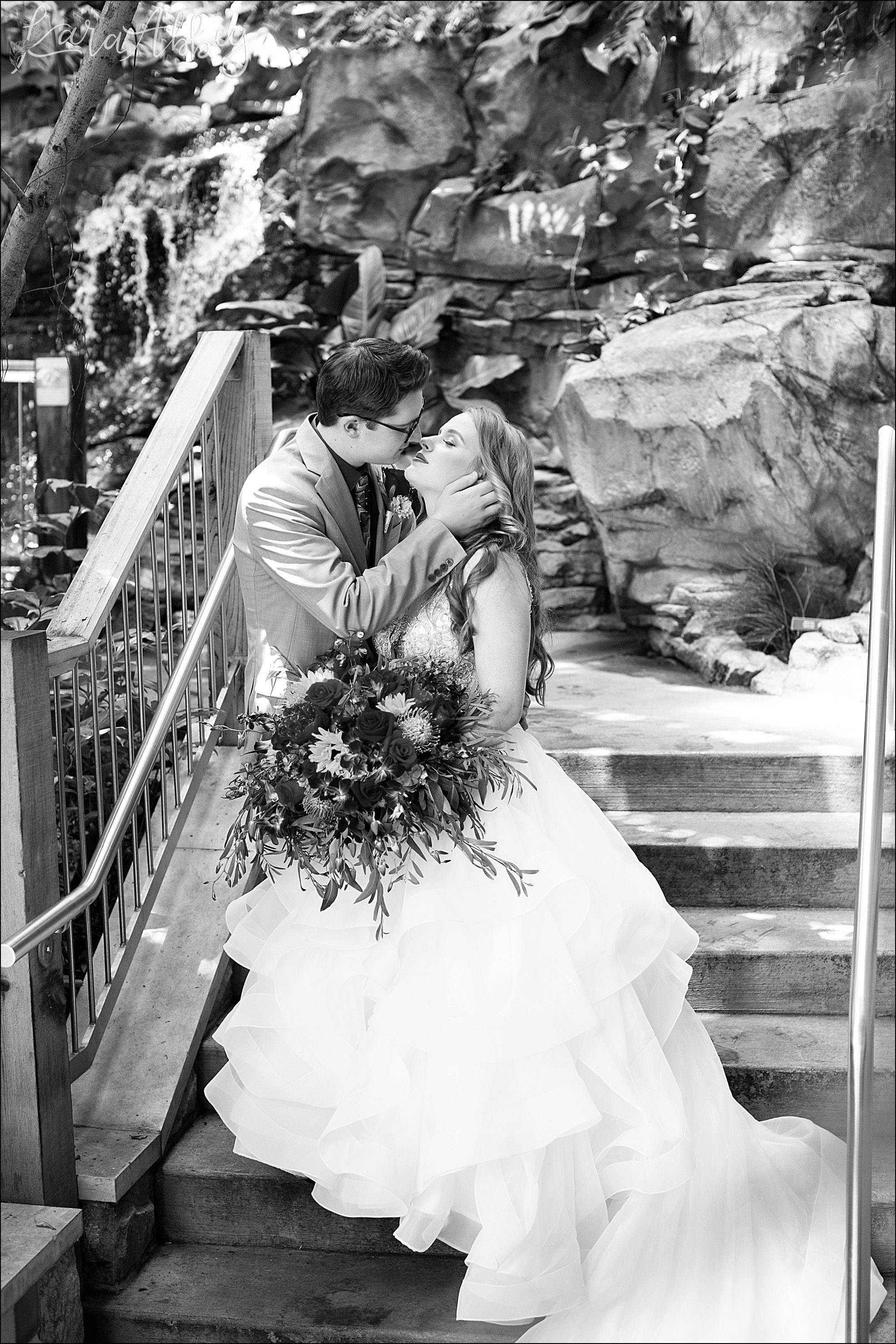 Phipps Conservatory Wedding in Pittsburgh, PA - Portraits in the Tropical Forest Conservatory