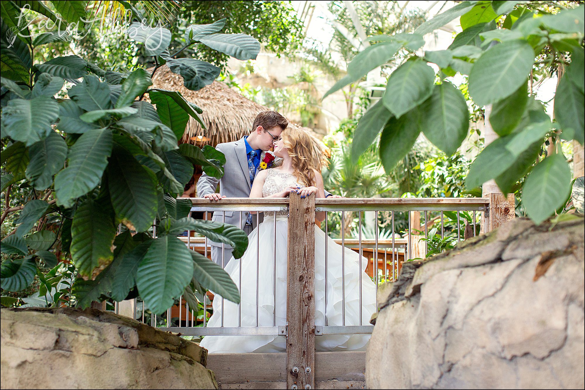 Phipps Conservatory Wedding in Pittsburgh, PA - Portraits in the Tropical Forest Conservatory
