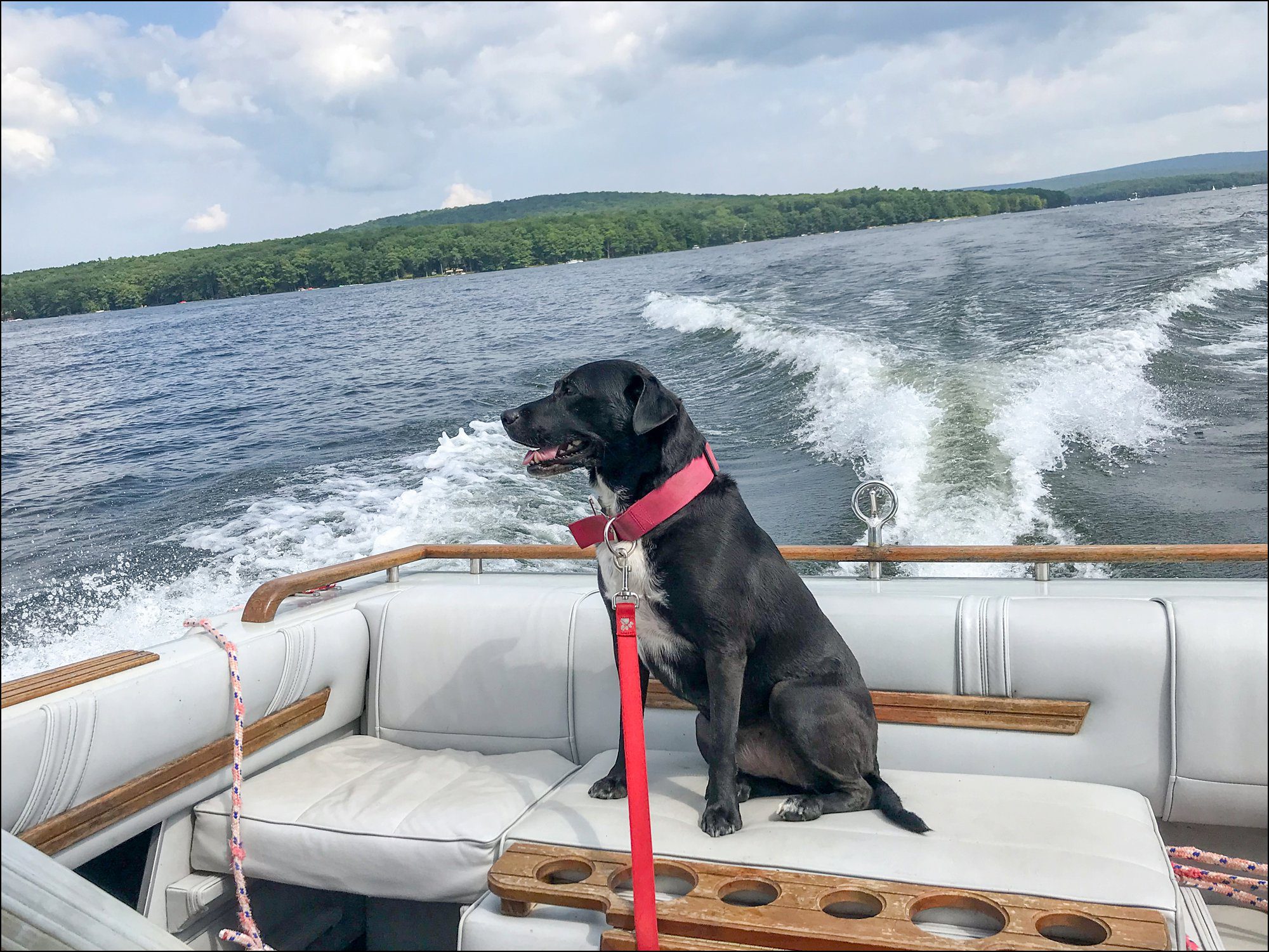 Summer Week Spent At Deep Creek Lake, MD