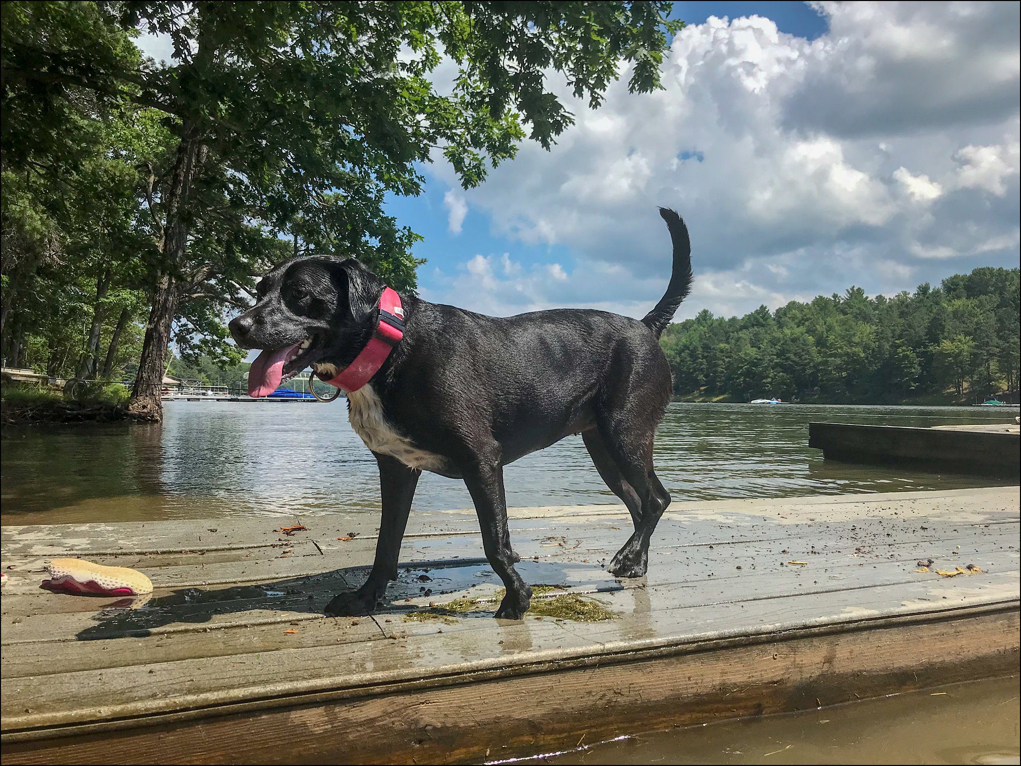 Summer Week Spent At Deep Creek Lake, MD