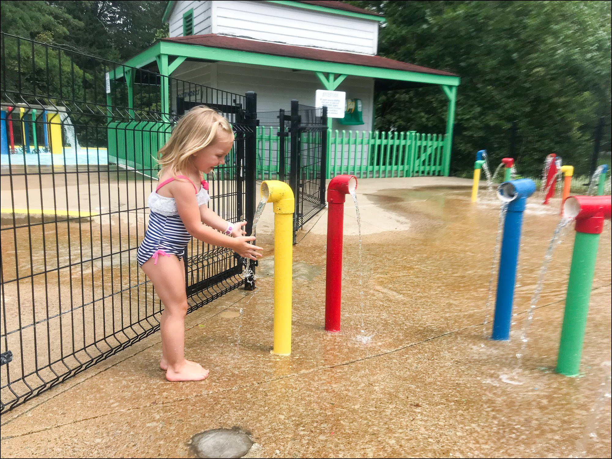 Norwin Community Picnic at Idlewild Park 2018