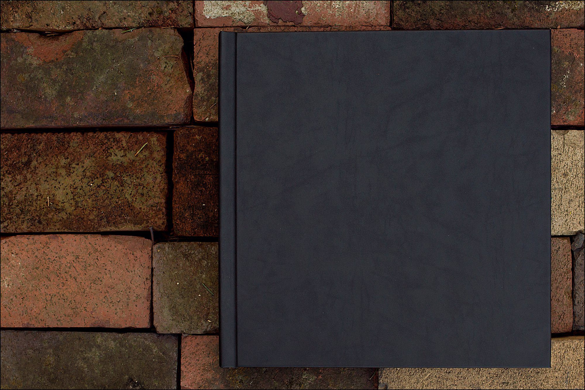 Are Physical Wedding Albums Still Important? by Irwin, PA Wedding Photographer