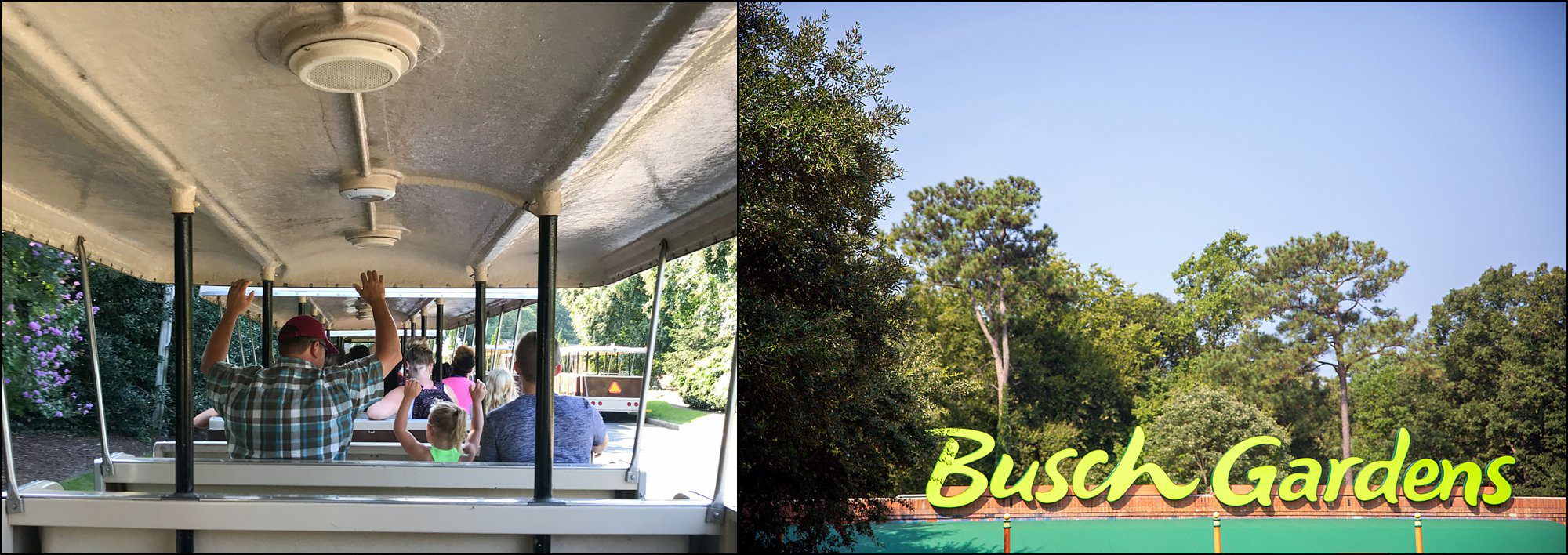 Our Summer Vacation to Busch Gardens & Deep Creek Lake