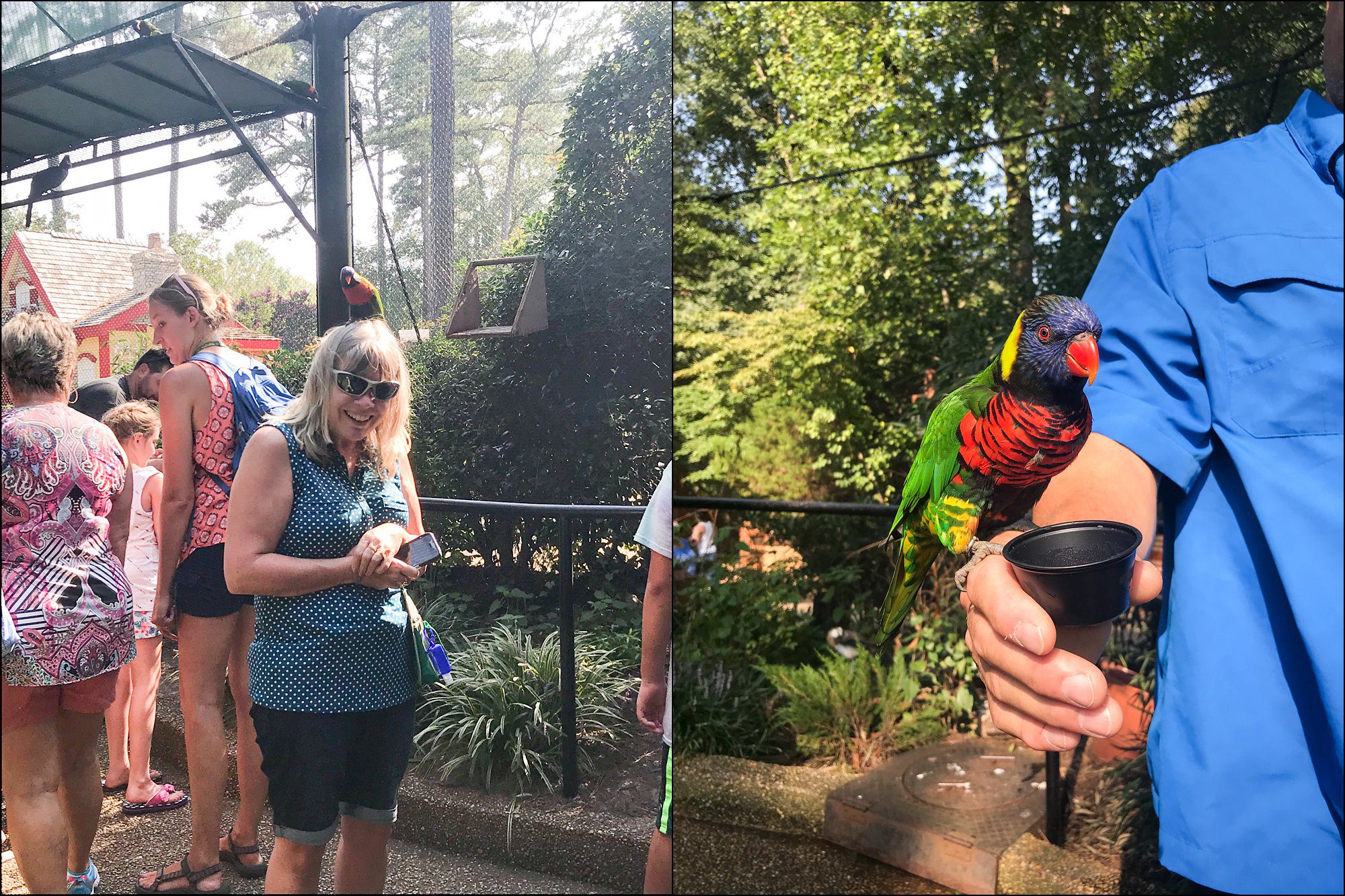 Our Summer Vacation to Busch Gardens & Deep Creek Lake