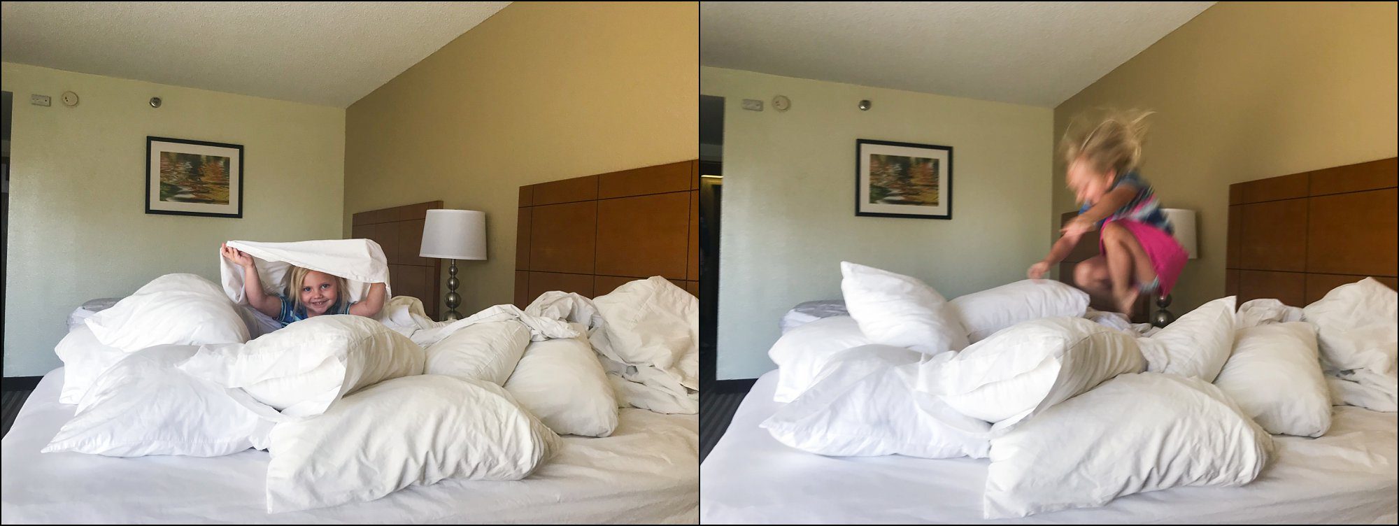 Our Summer Vacation to Busch Gardens & Deep Creek Lake