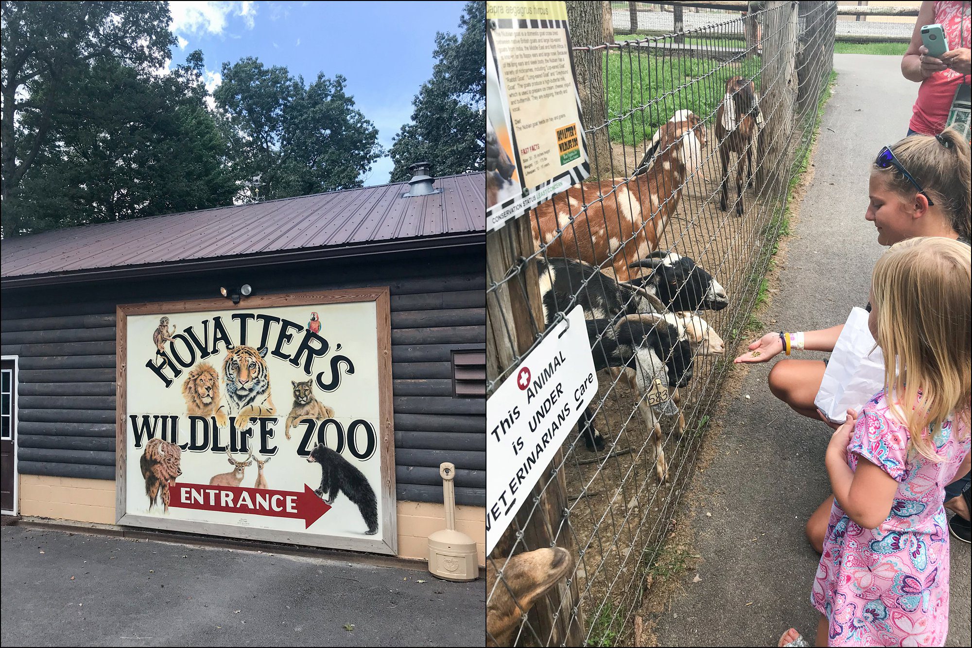 Our Summer Vacation to Busch Gardens & Deep Creek Lake