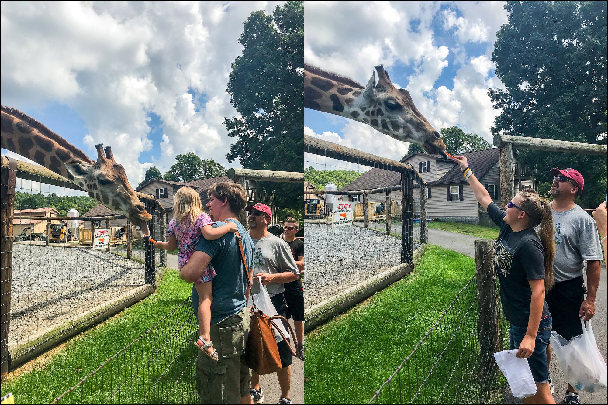 Our Summer Vacation to Busch Gardens & Deep Creek Lake