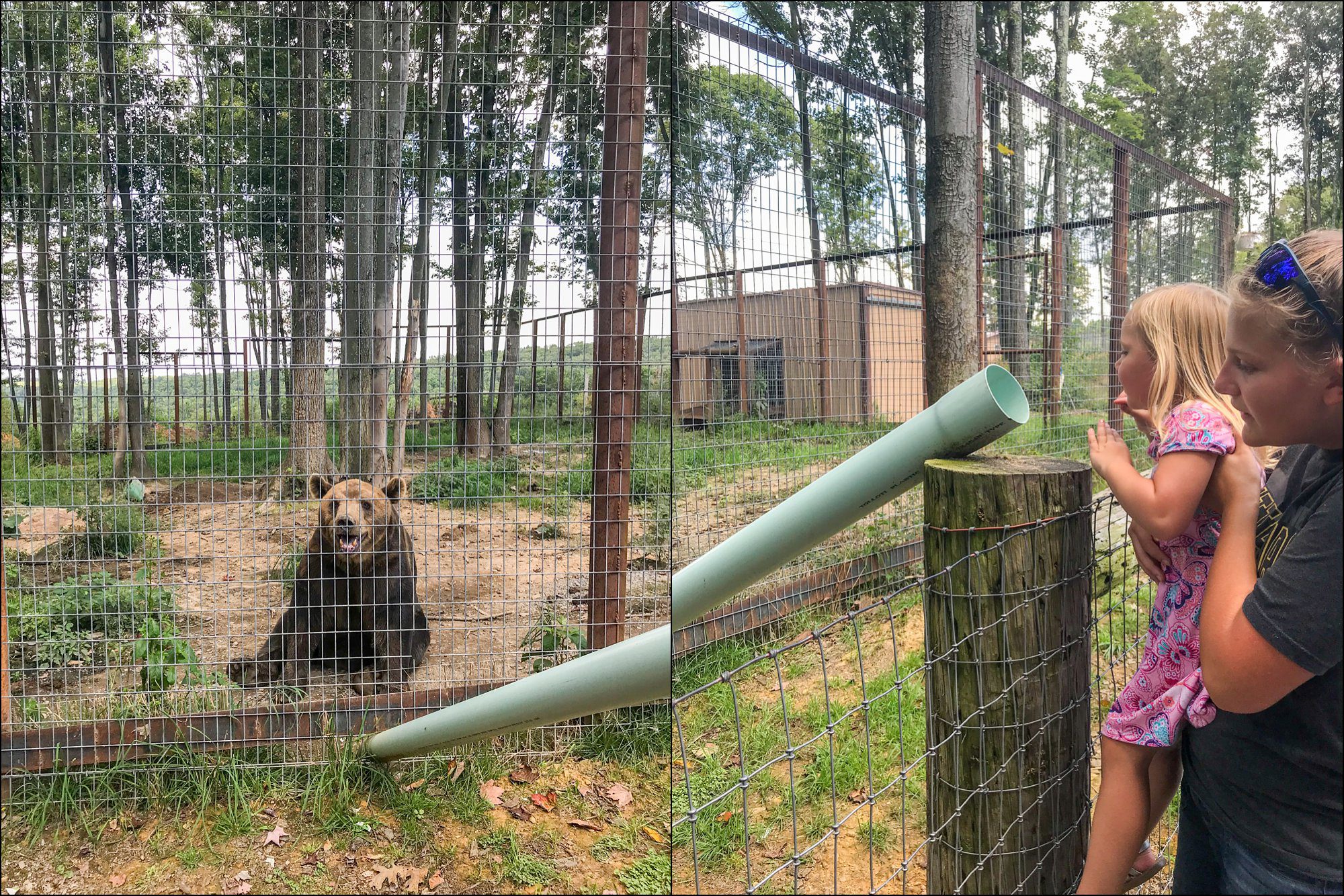 Our Summer Vacation to Busch Gardens & Deep Creek Lake