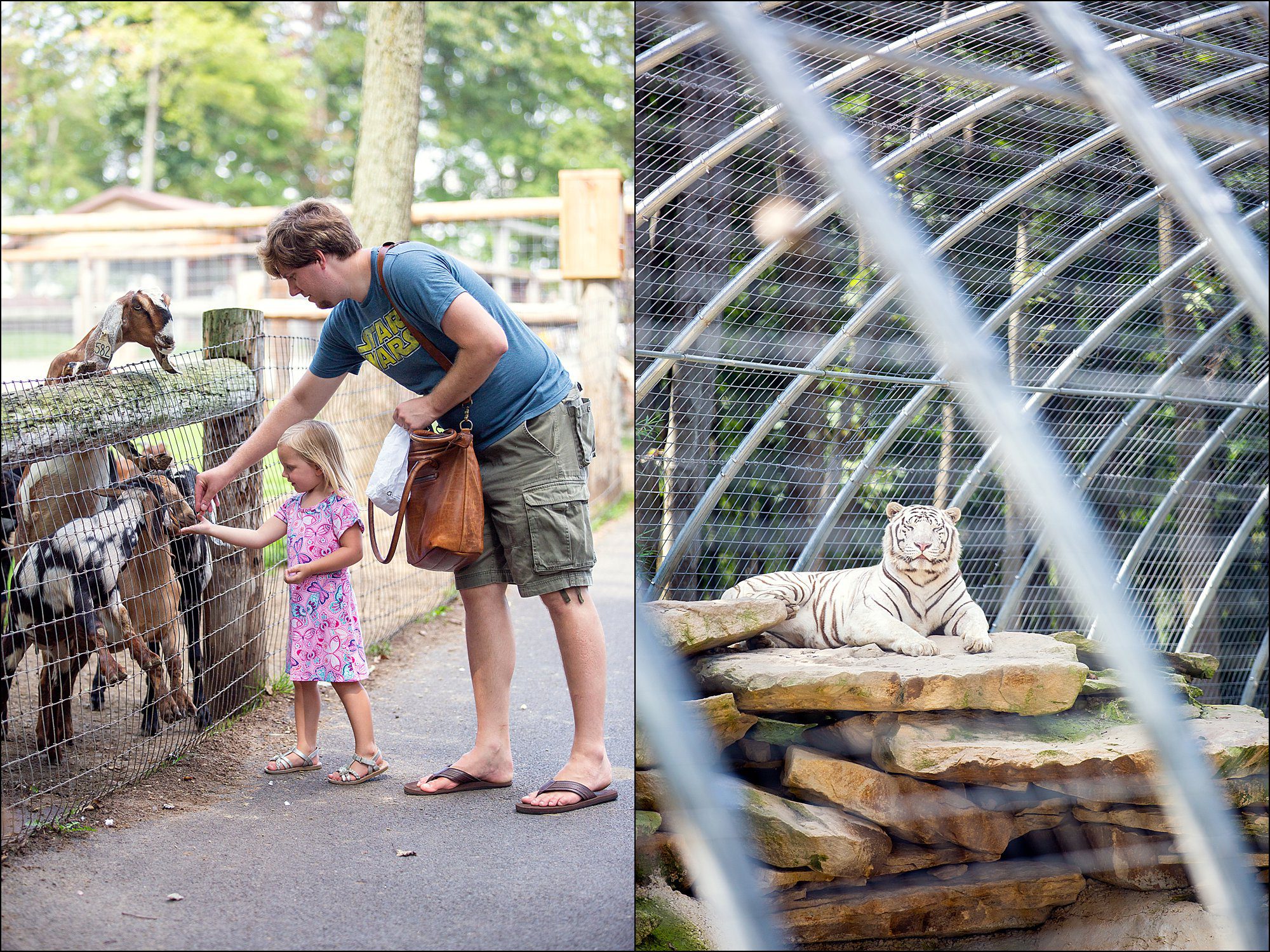 Our Summer Vacation to Busch Gardens & Deep Creek Lake