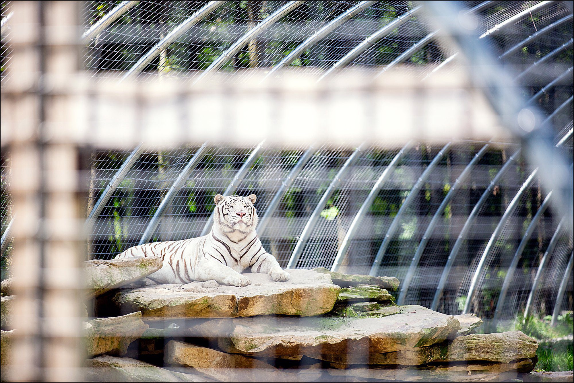 Our Summer Vacation to Busch Gardens & Deep Creek Lake