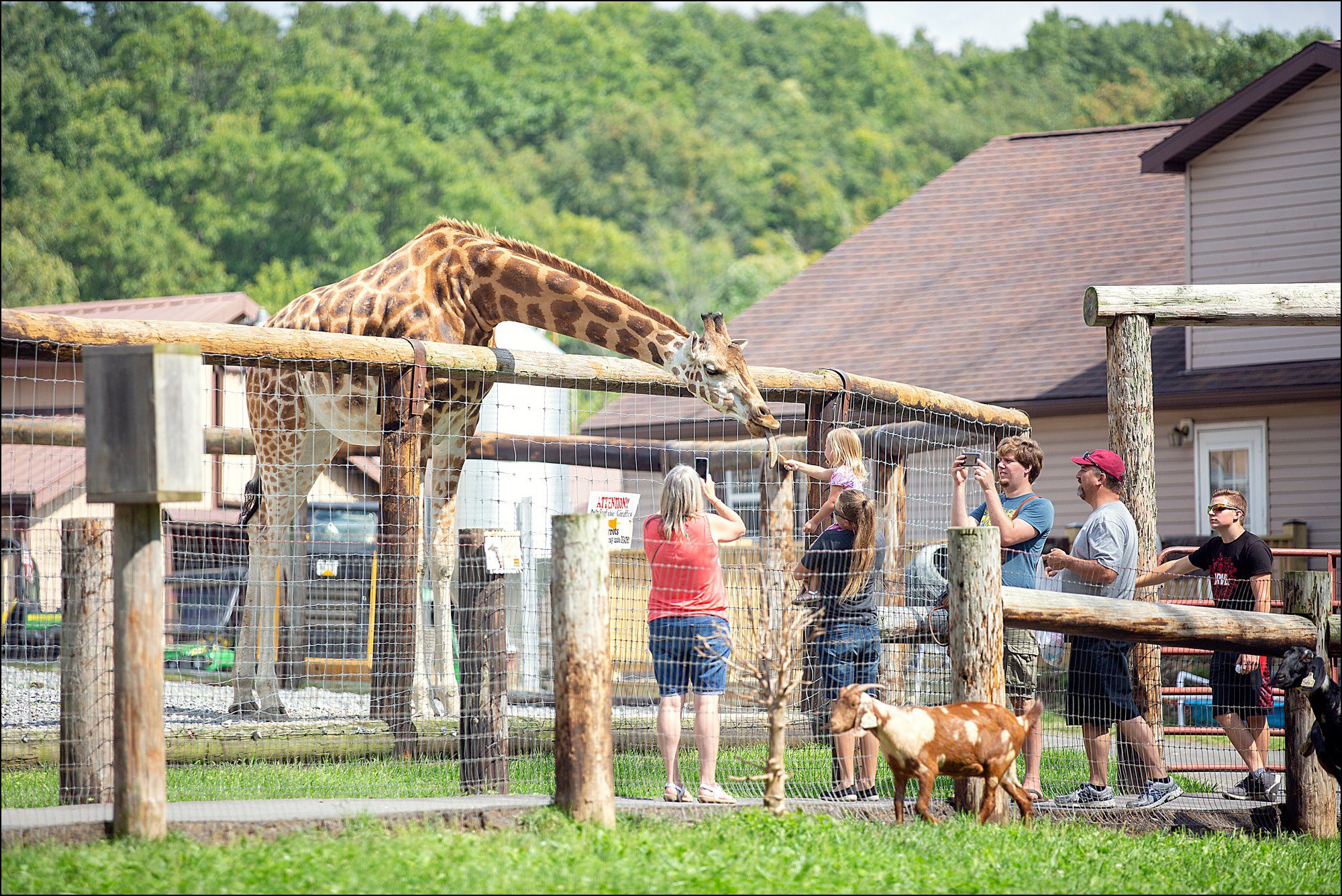 Our Summer Vacation to Busch Gardens & Deep Creek Lake