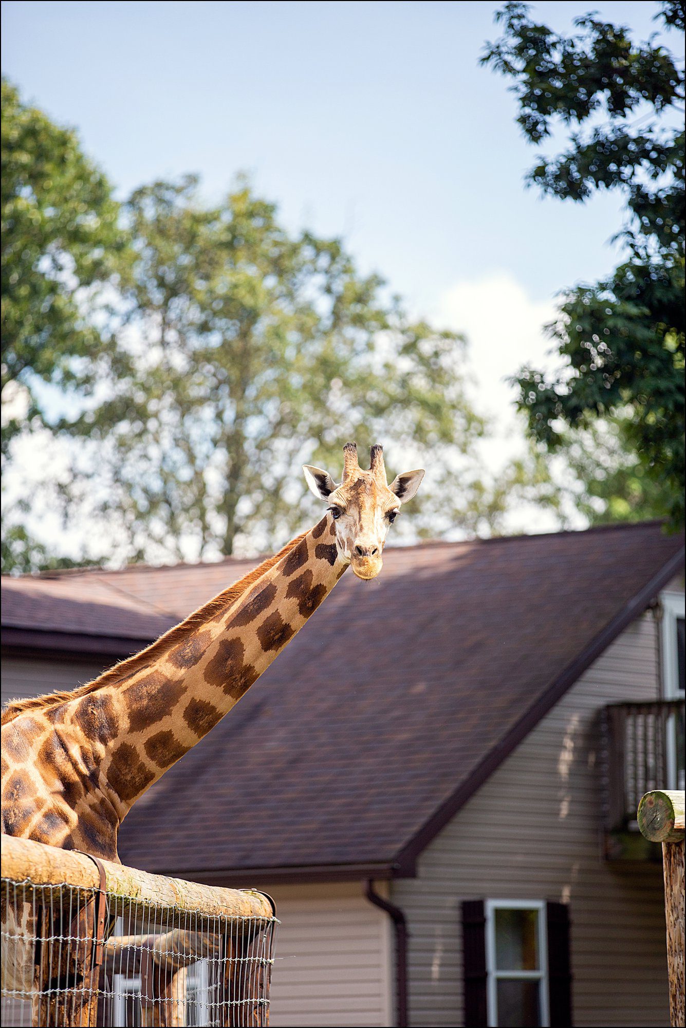 Our Summer Vacation to Busch Gardens & Deep Creek Lake