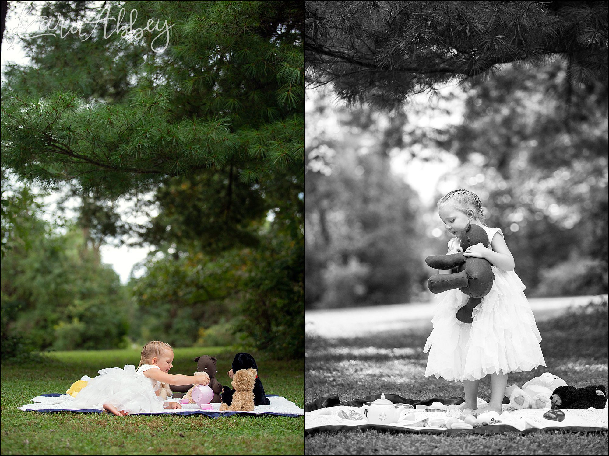 3 Year Old Teddy Bear Picnic Themed Portraits in Irwin, PA