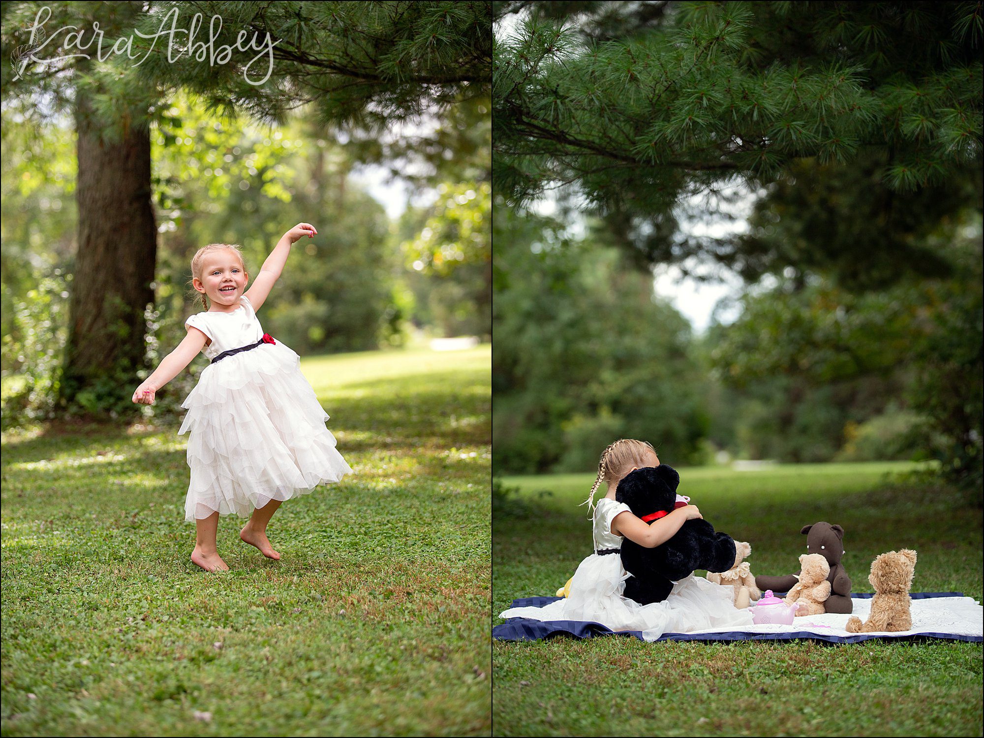 3 Year Old Teddy Bear Picnic Themed Portraits in Irwin, PA
