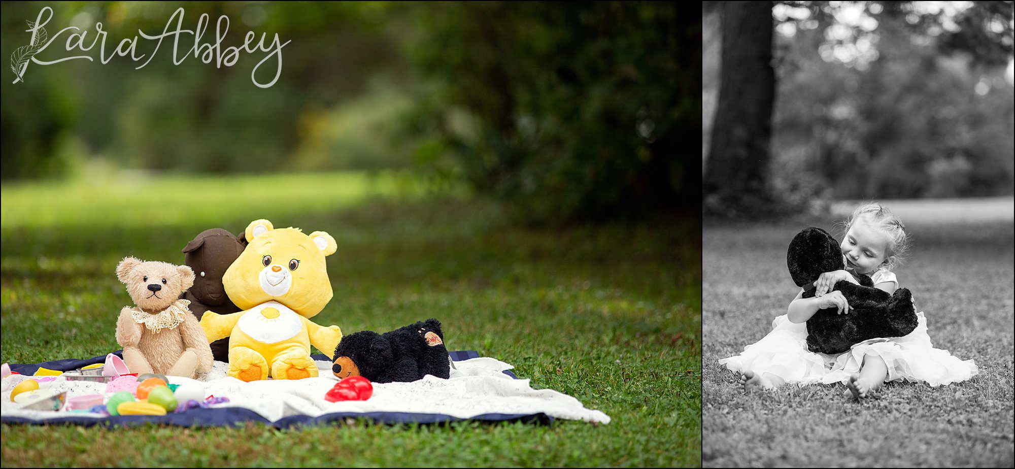 3 Year Old Teddy Bear Picnic Themed Portraits in Irwin, PA