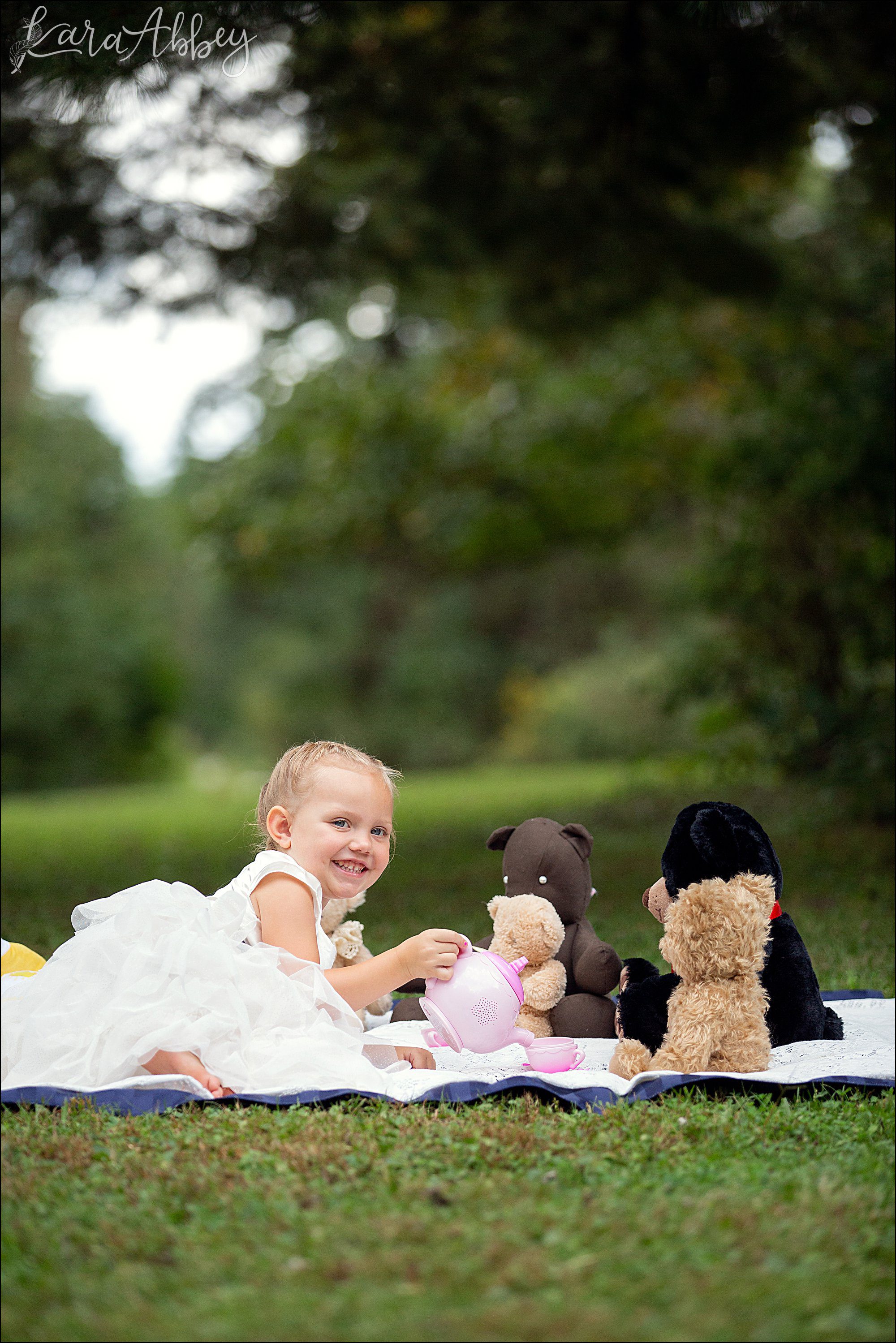 3 Year Old Teddy Bear Picnic Themed Portraits in Irwin, PA