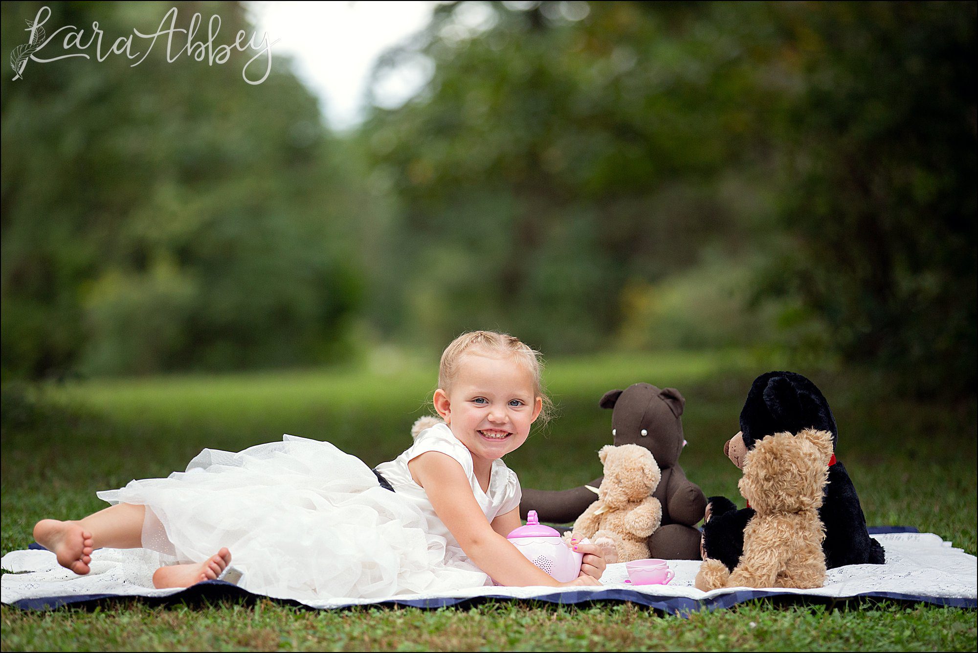 3 Year Old Teddy Bear Picnic Themed Portraits in Irwin, PA