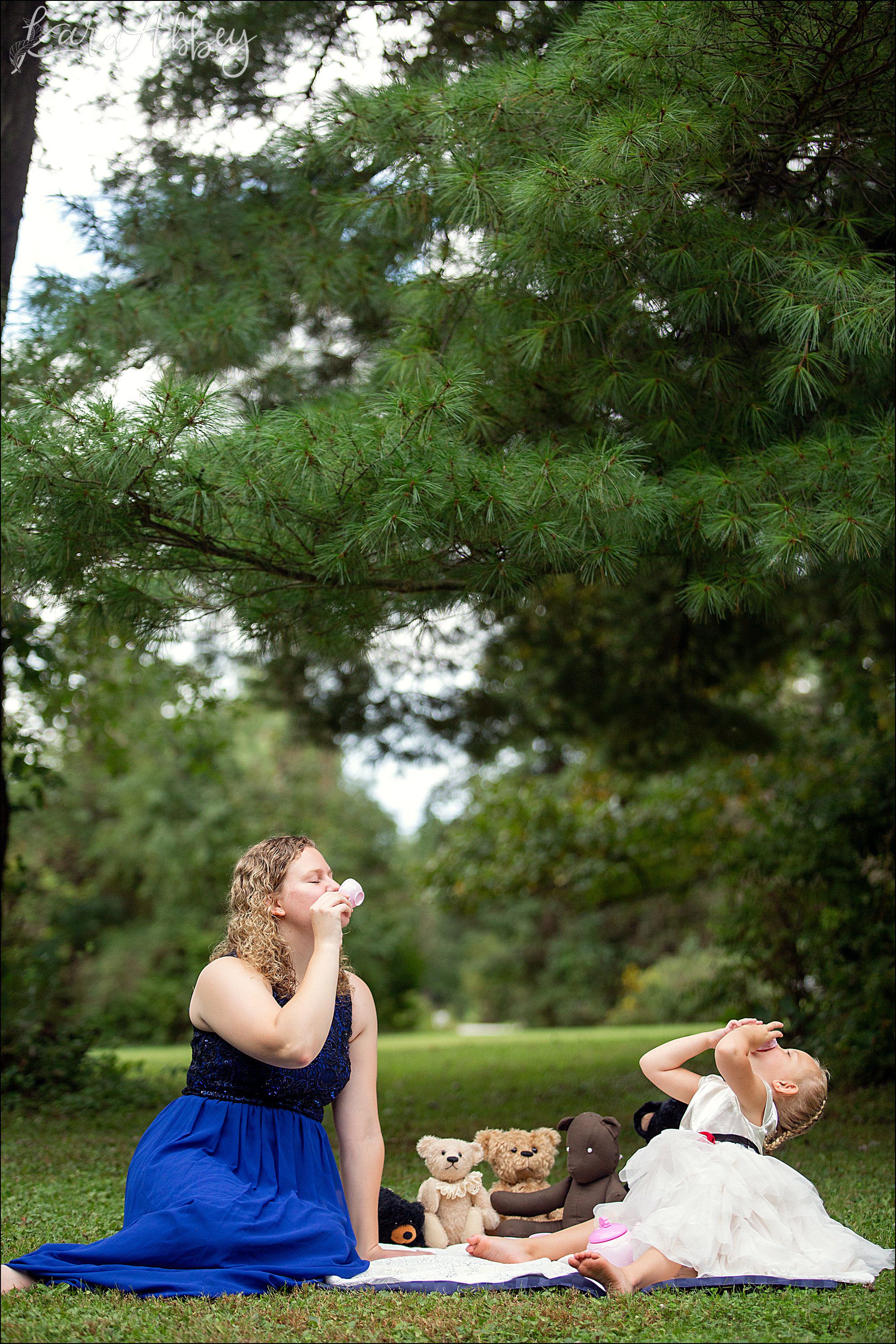 3 Year Old Teddy Bear Picnic Themed Portraits in Irwin, PA