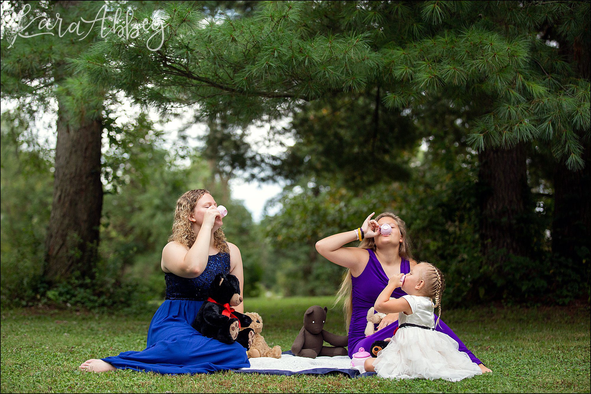 3 Year Old Teddy Bear Picnic Themed Portraits in Irwin, PA