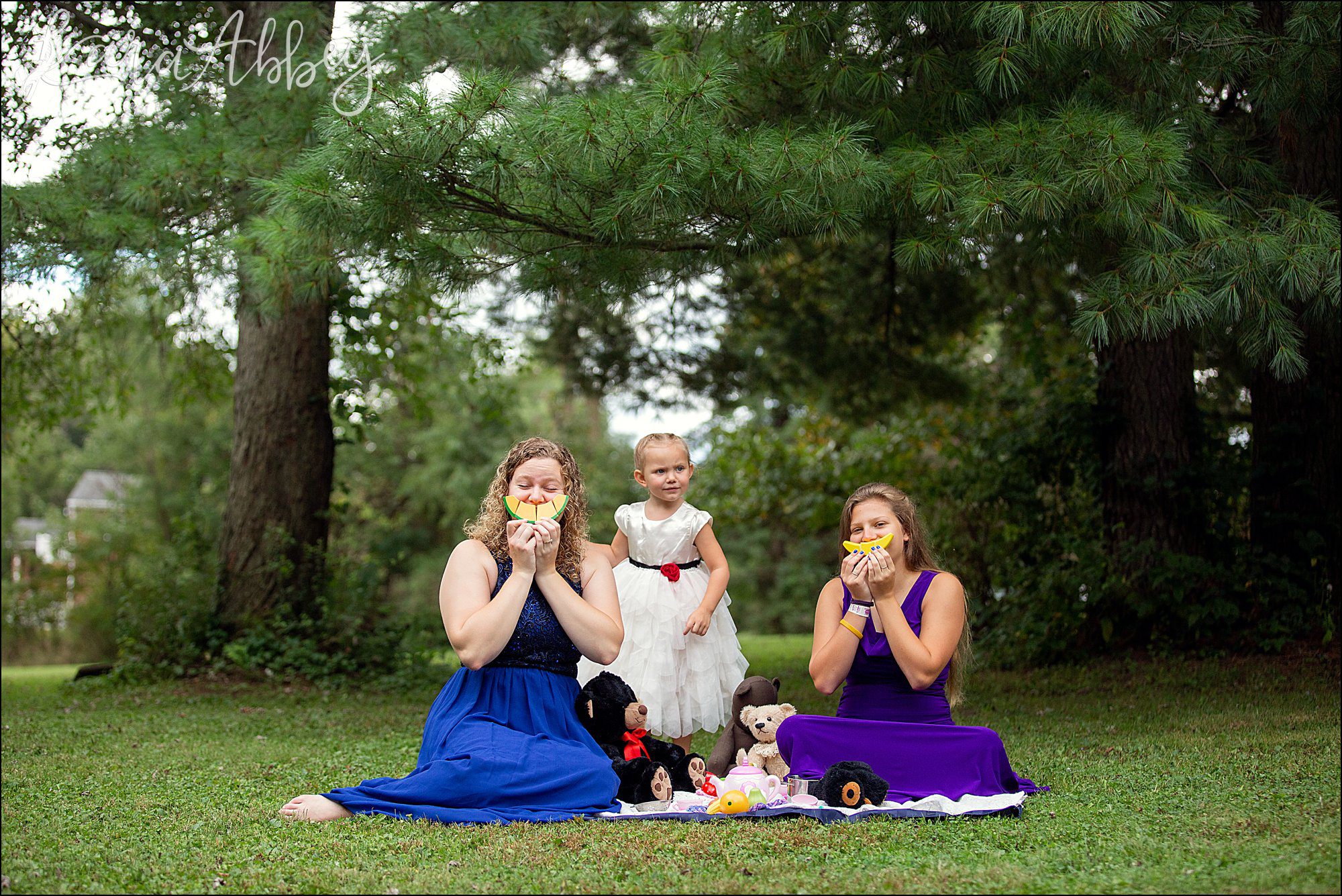 3 Year Old Teddy Bear Picnic Themed Portraits in Irwin, PA