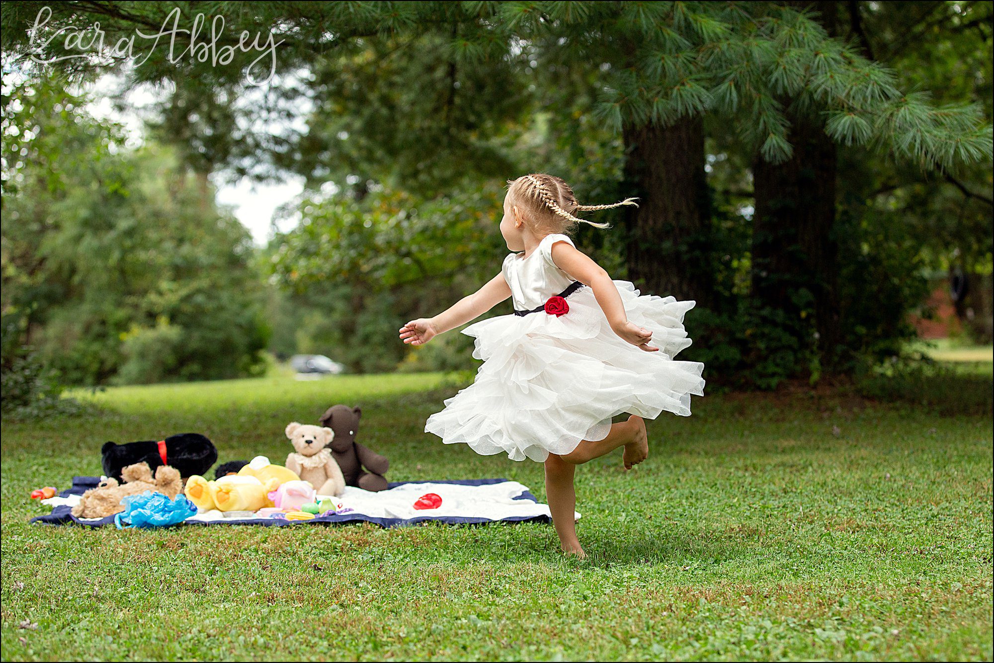 3 Year Old Teddy Bear Picnic Themed Portraits in Irwin, PA