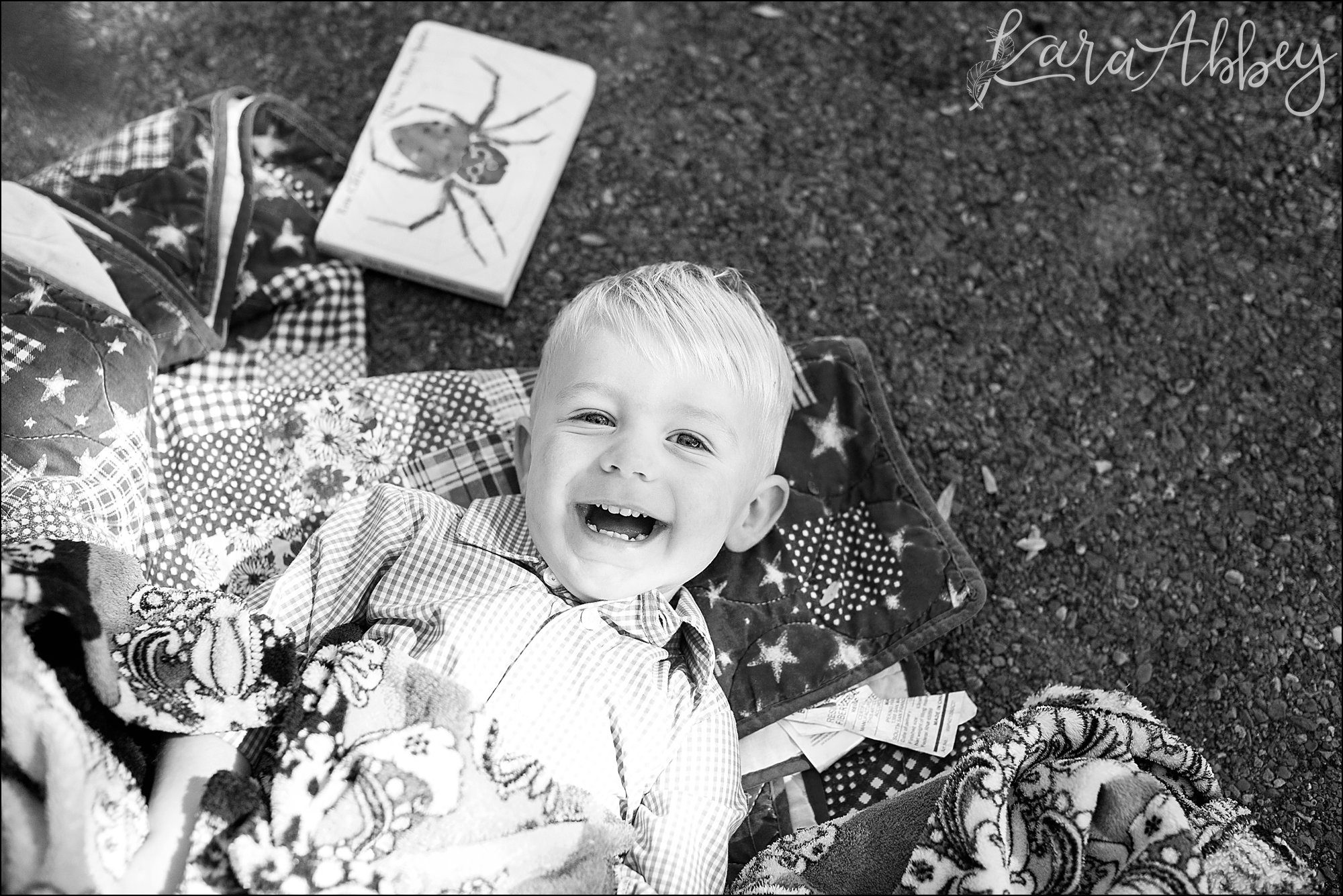 Irwin, PA Wedding Photographer Does Mini Sessions for Original Clients