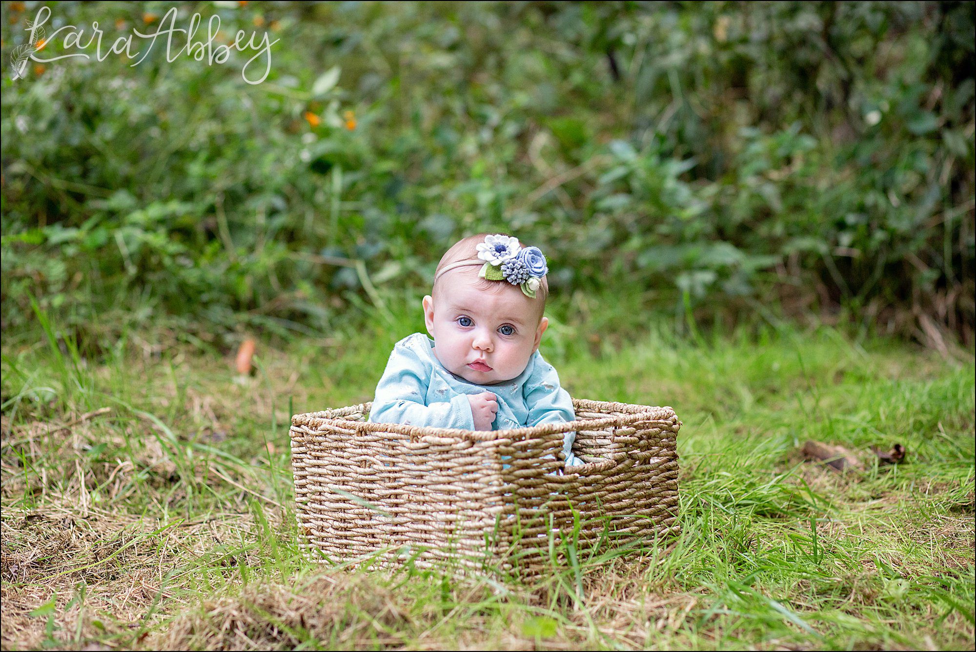Irwin, PA Wedding Photographer Does Mini Sessions for Original Clients
