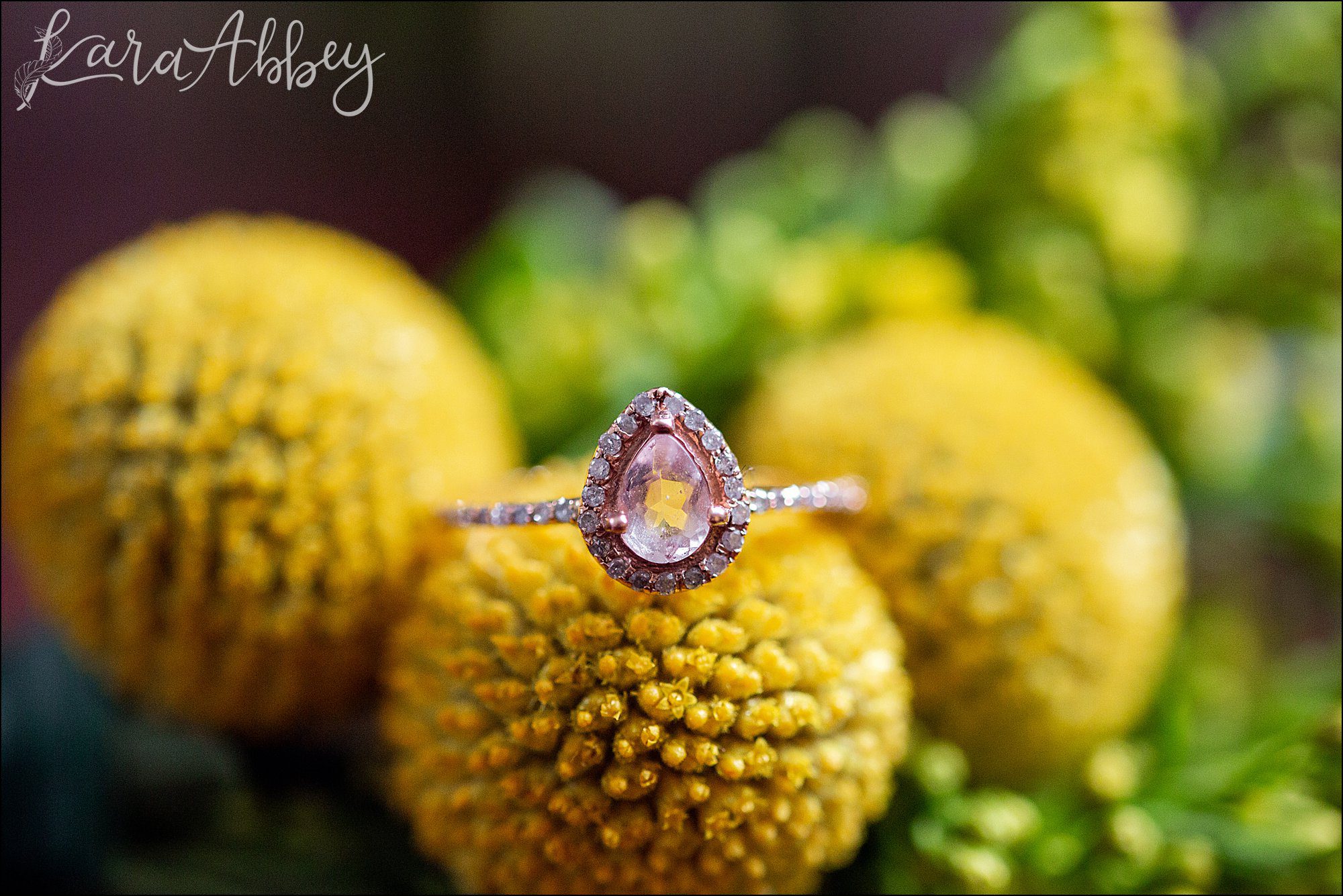 Fall Wedding Photography in Hopwood, PA