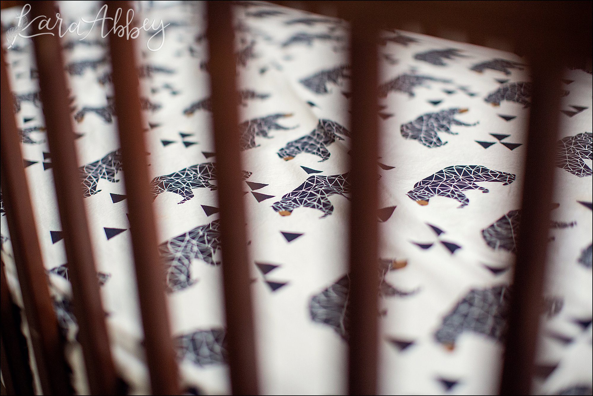 Navy Blue Bear-Themed Baby Boy Nursery in Irwin, PA