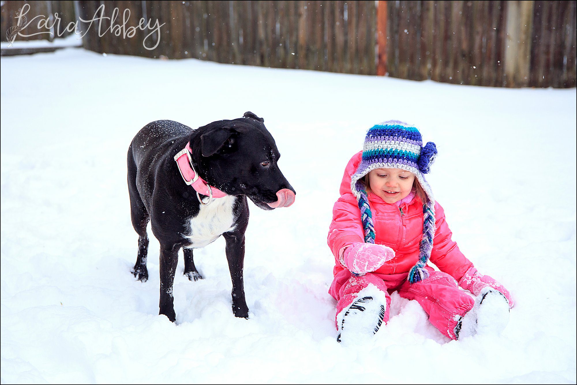 Bloopers from Weekly Photos of Black Lab and Toddler in Irwin, PA