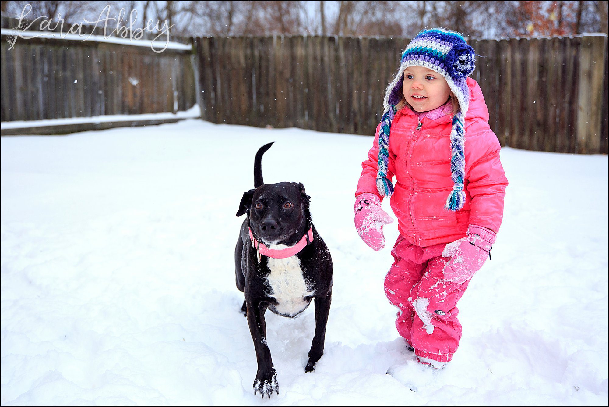Bloopers from Weekly Photos of Black Lab and Toddler in Irwin, PA
