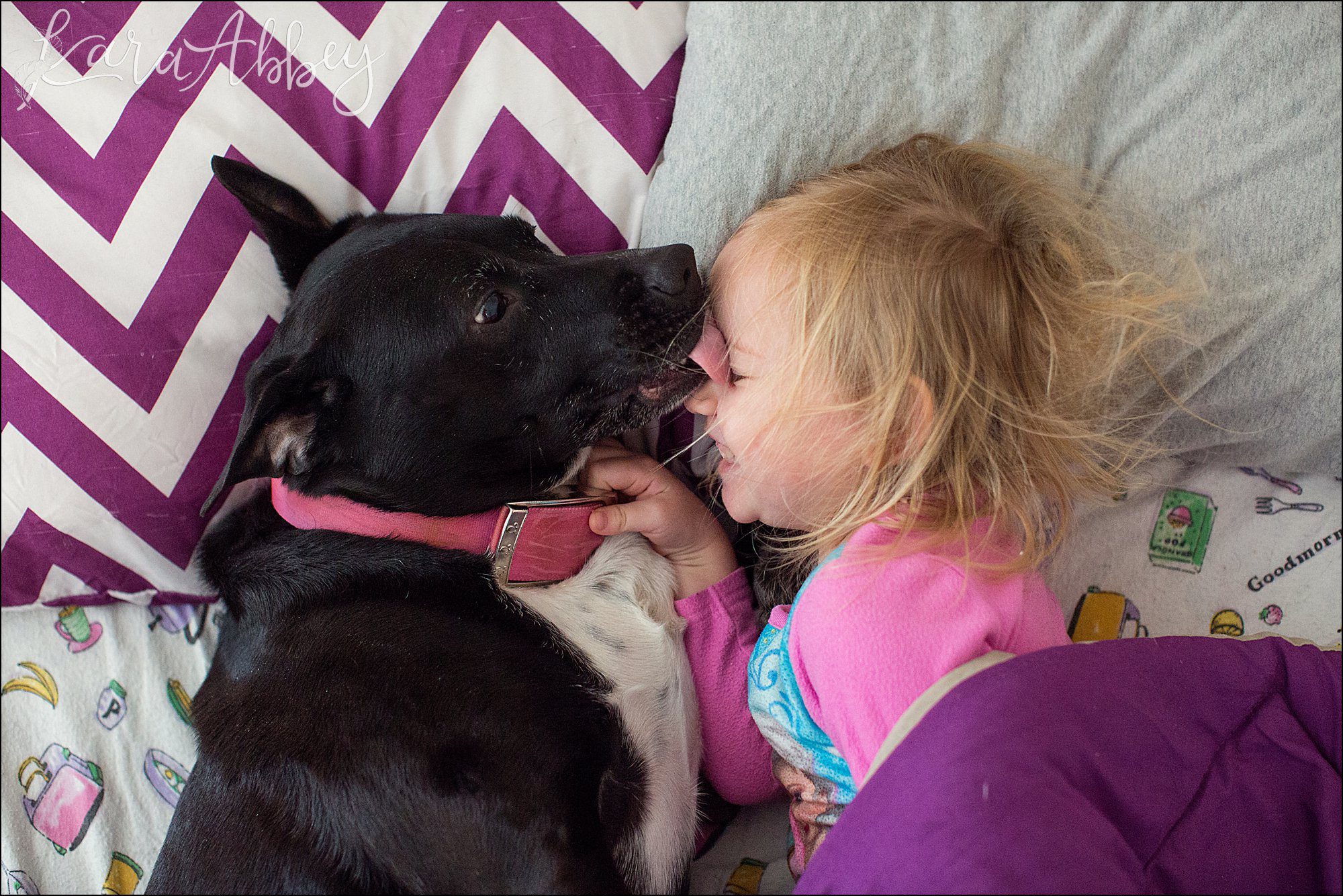Bloopers from Weekly Photos of Black Lab and Toddler in Irwin, PA