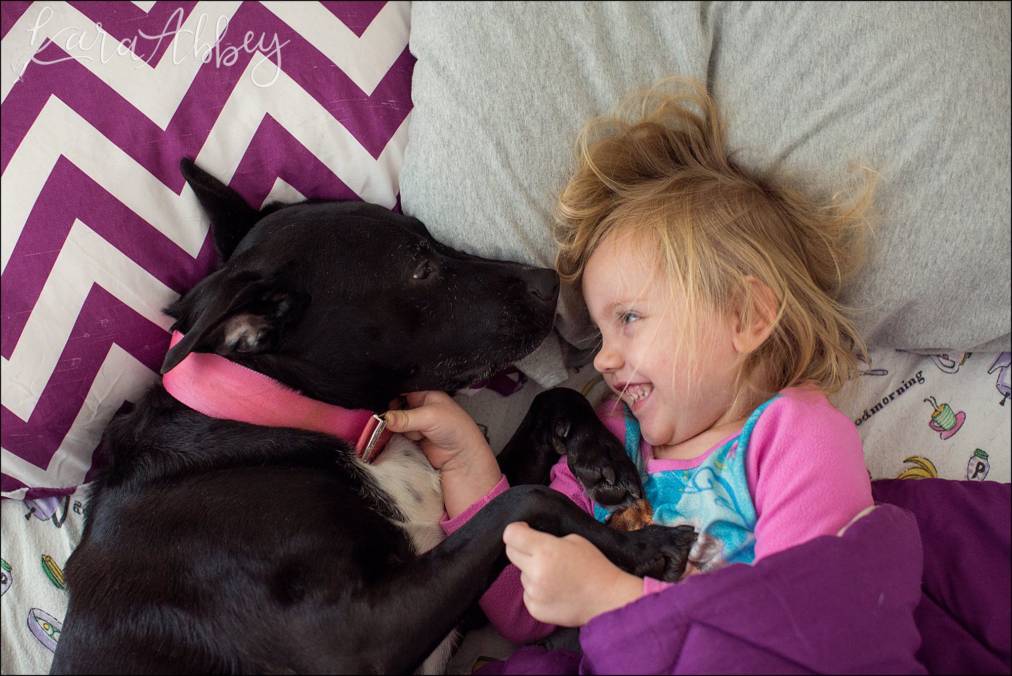 Bloopers from Weekly Photos of Black Lab and Toddler in Irwin, PA