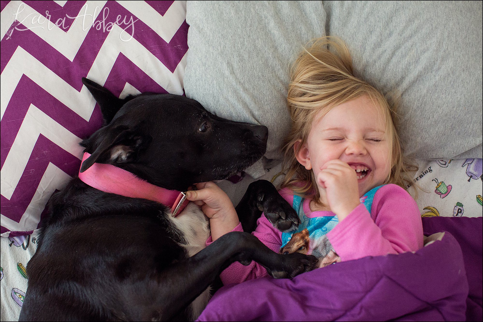 Bloopers from Weekly Photos of Black Lab and Toddler in Irwin, PA
