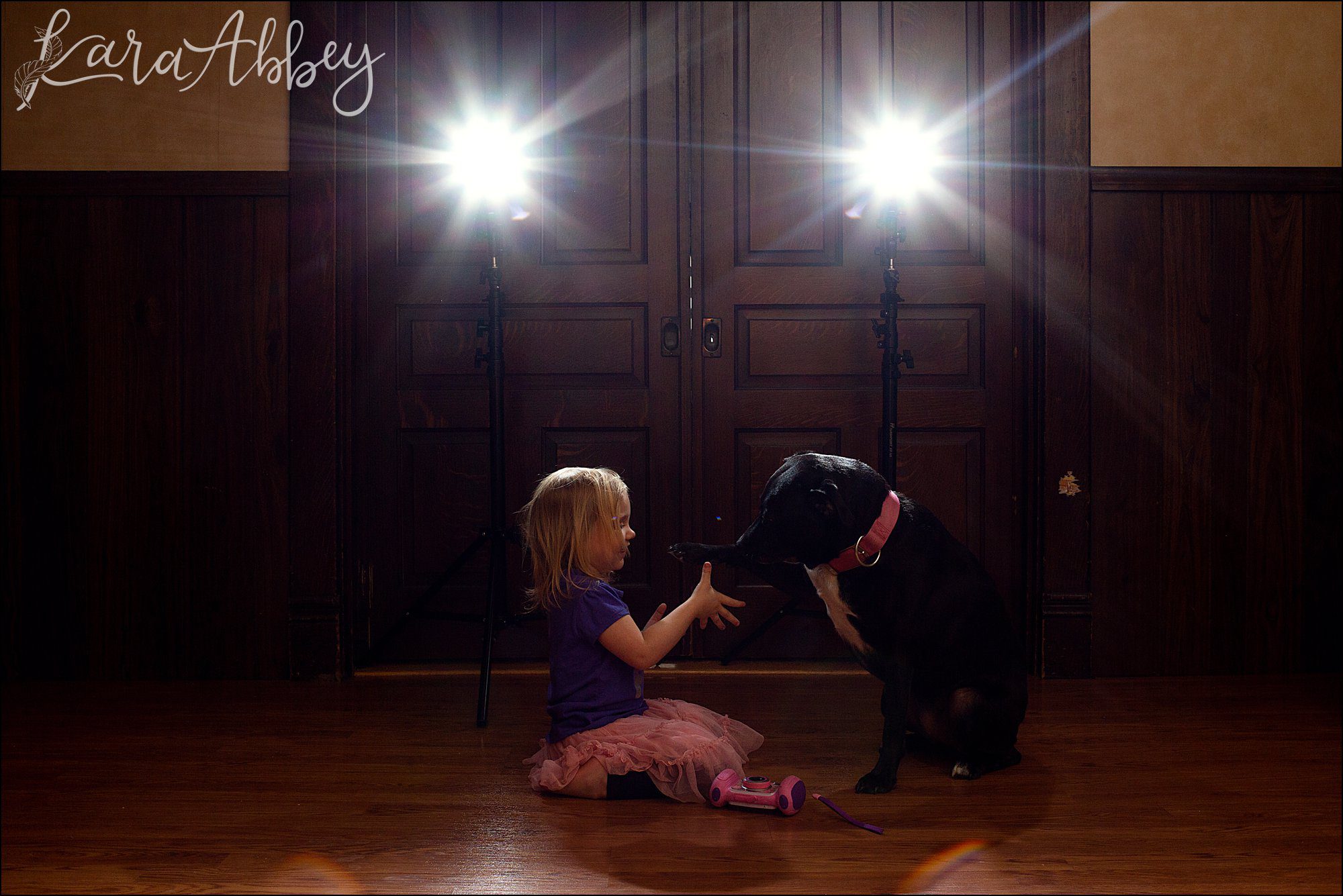 Bloopers from Weekly Photos of Black Lab and Toddler in Irwin, PA