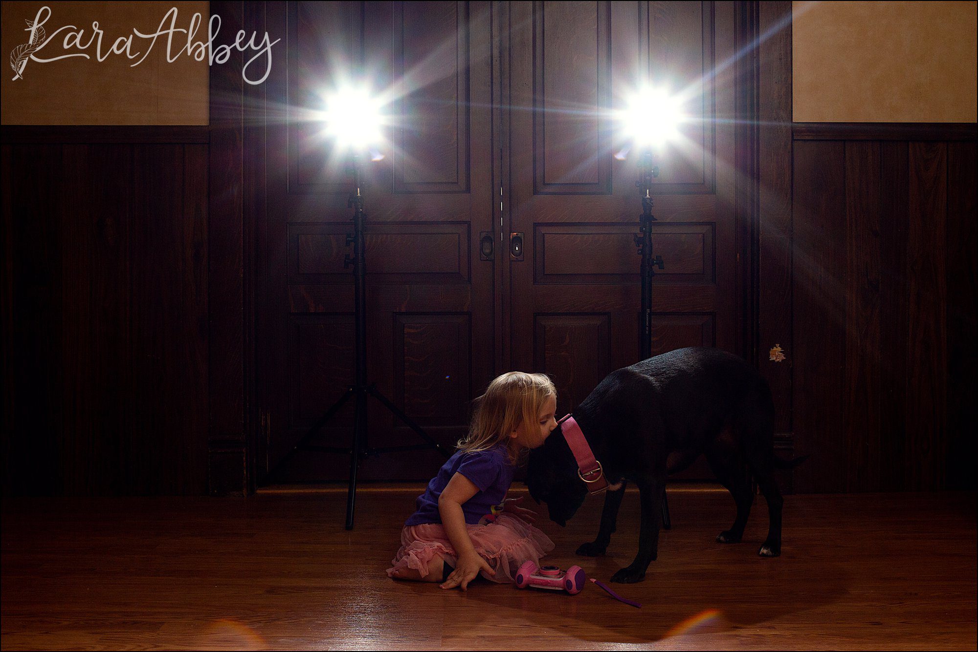 Bloopers from Weekly Photos of Black Lab and Toddler in Irwin, PA