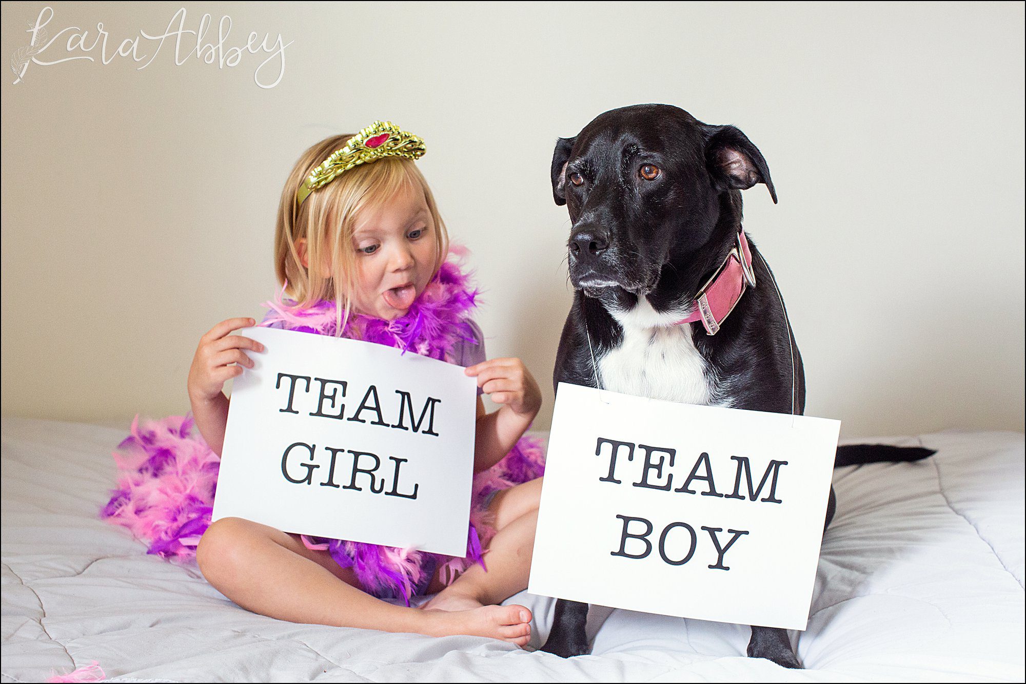 Bloopers from Weekly Photos of Black Lab and Toddler in Irwin, PA
