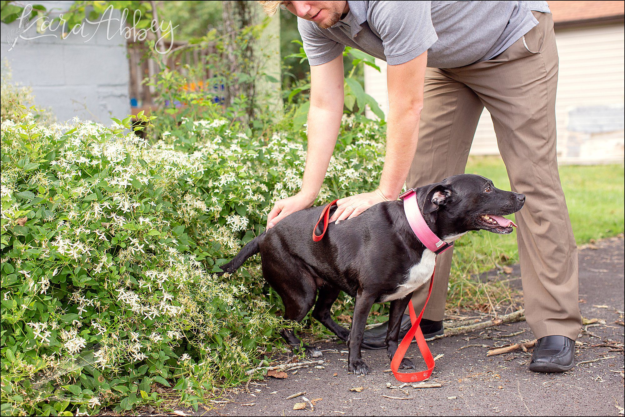 Bloopers from Weekly Photos of Black Lab and Toddler in Irwin, PA