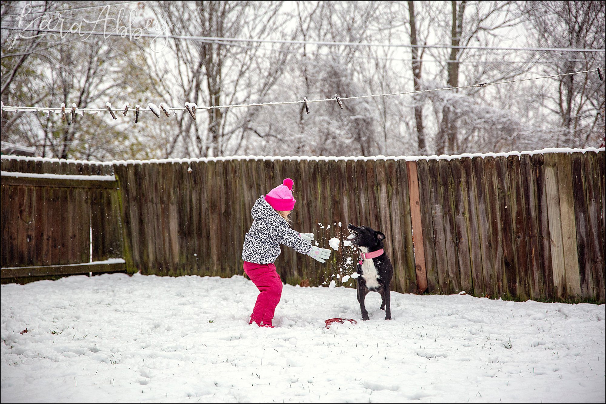 Bloopers from Weekly Photos of Black Lab and Toddler in Irwin, PA