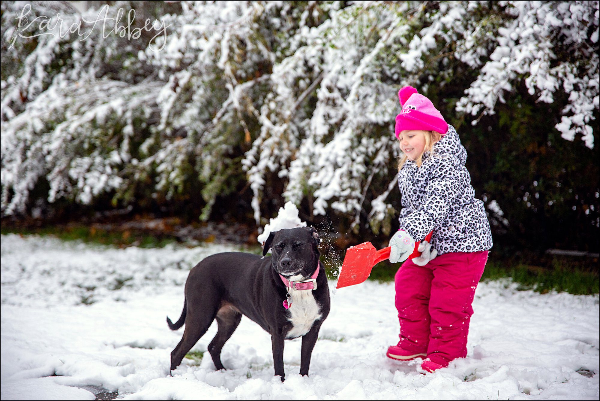 Bloopers from Weekly Photos of Black Lab and Toddler in Irwin, PA