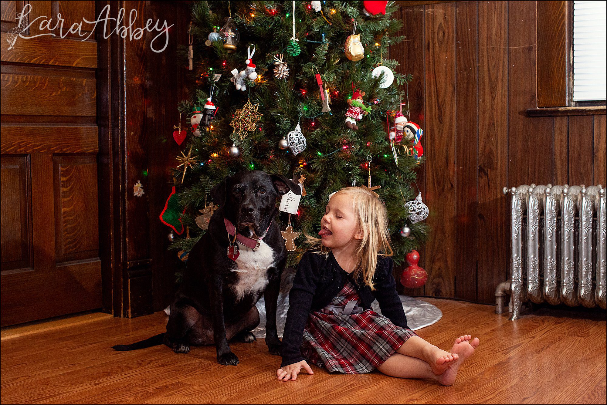 Bloopers from Weekly Photos of Black Lab and Toddler in Irwin, PA
