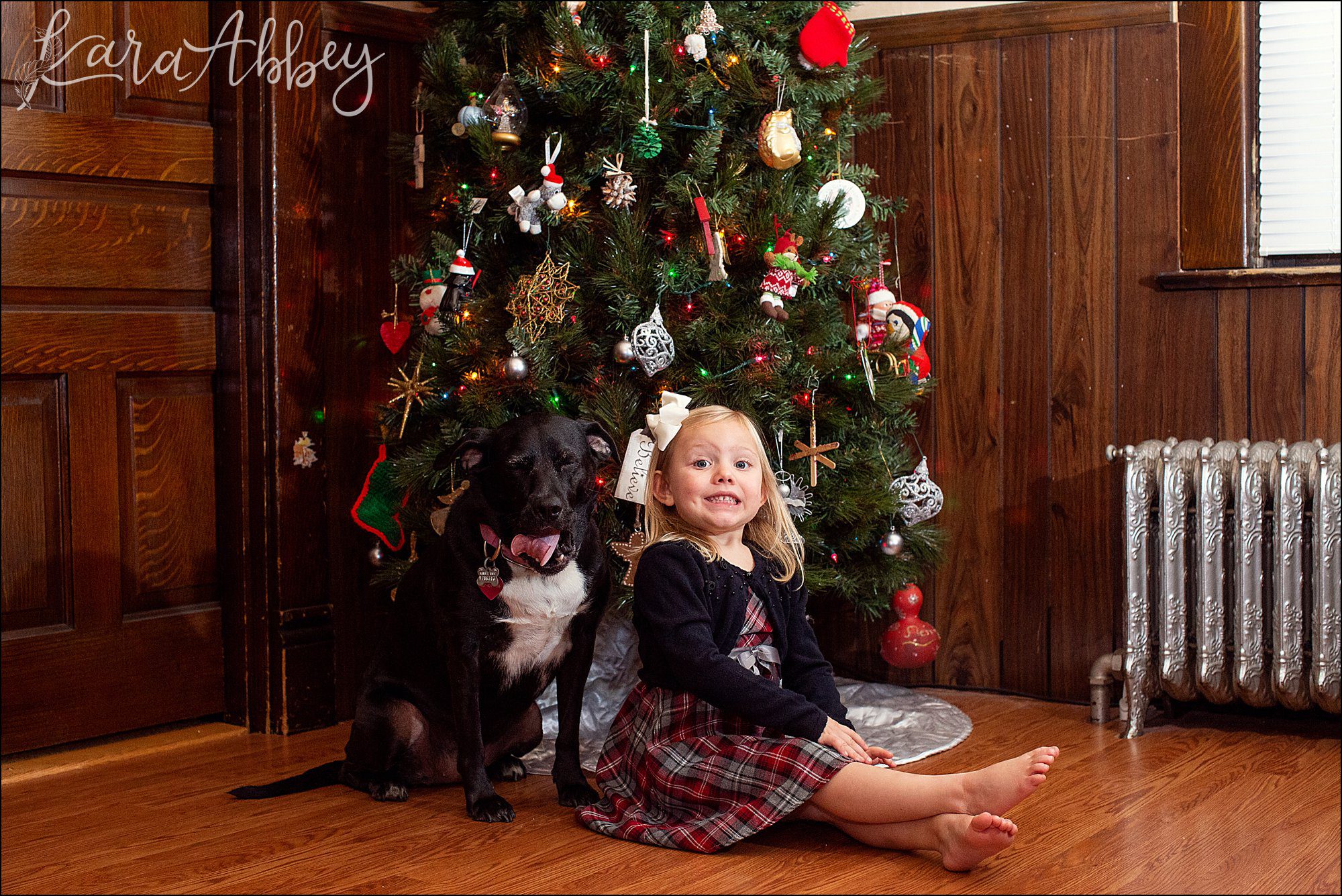 Bloopers from Weekly Photos of Black Lab and Toddler in Irwin, PA