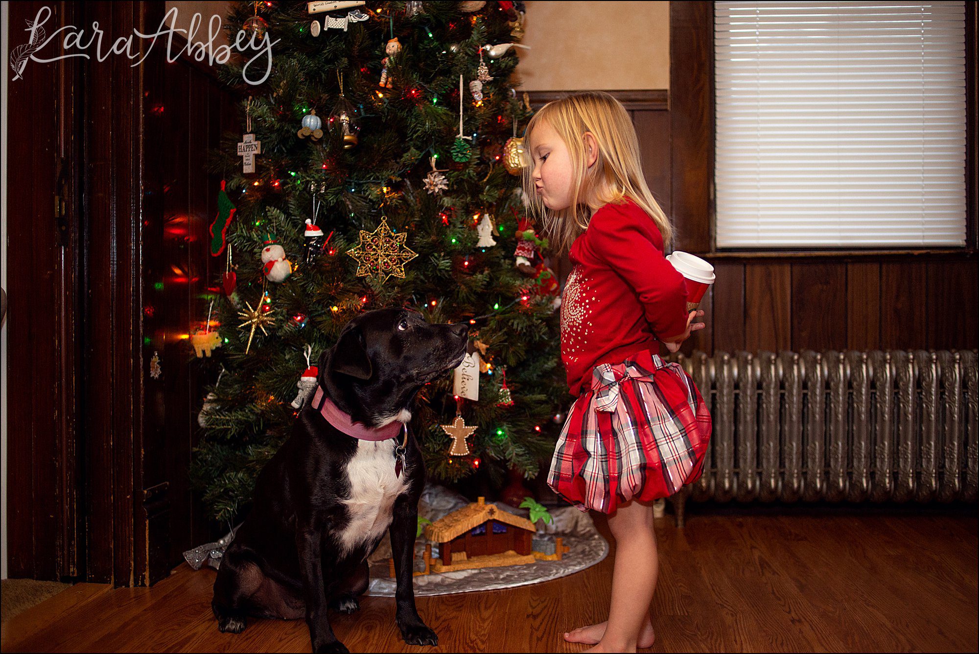 Bloopers from Weekly Photos of Black Lab and Toddler in Irwin, PA