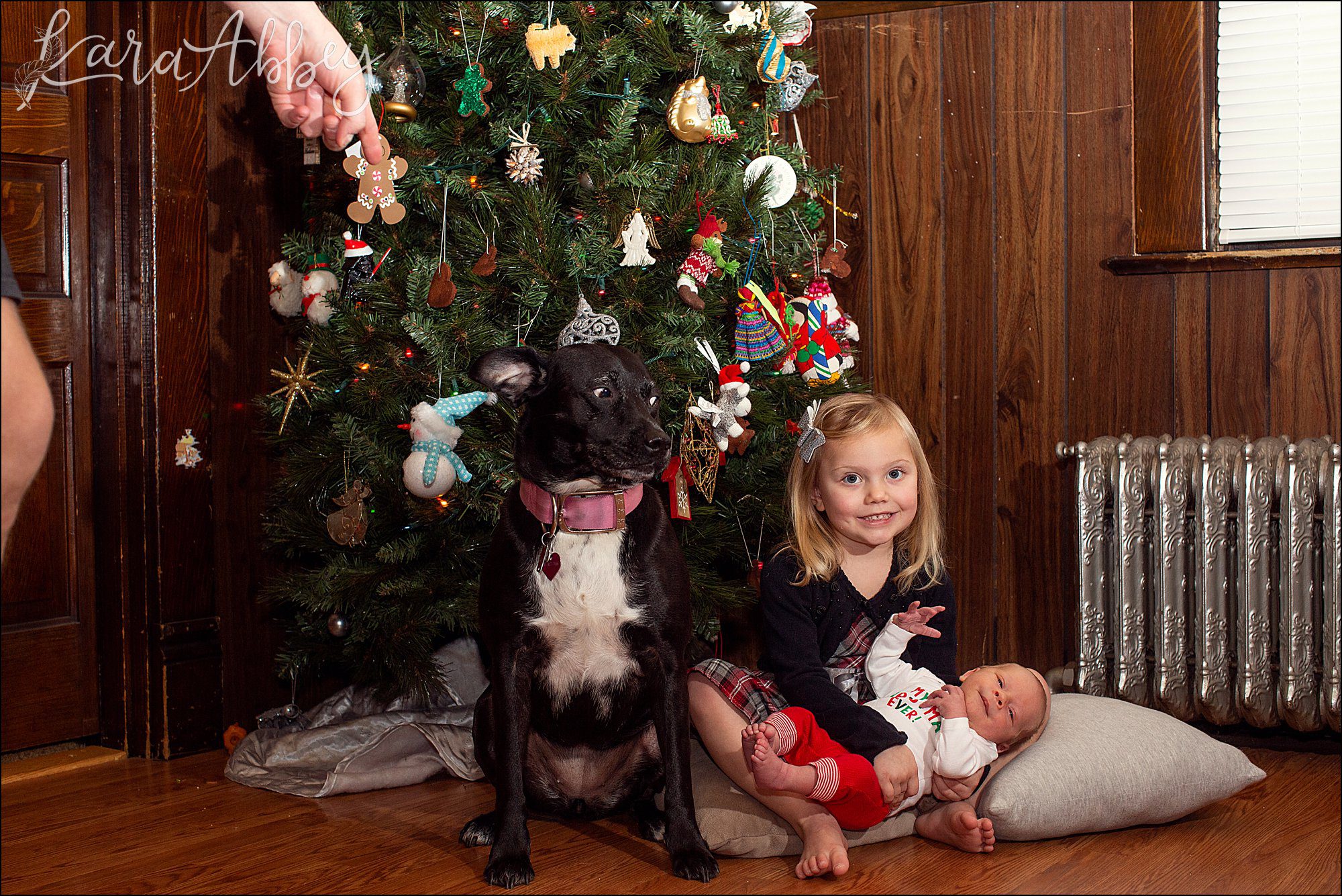 Bloopers from Weekly Photos of Black Lab and Toddler in Irwin, PA