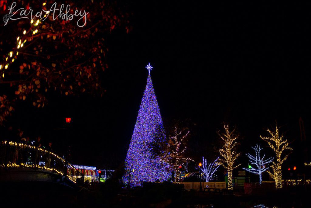 North Huntingdon Wedding Photographer Favorite Personal Images from 2018 - Kennywood Park