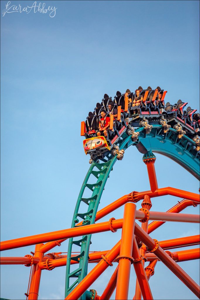 North Huntingdon Wedding Photographer Favorite Personal Images from 2018 - Busch Gardens Williamsburg, VA
