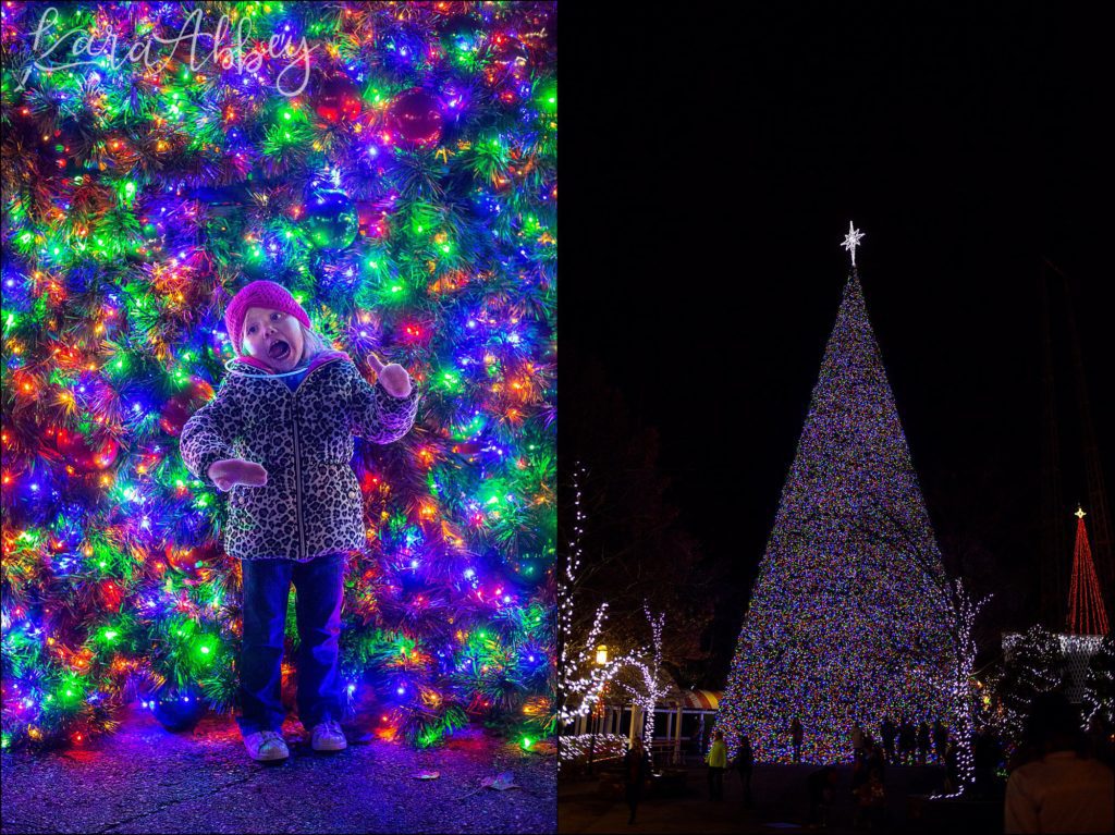 North Huntingdon Wedding Photographer Favorite Personal Images from 2018 - Kennywood Park