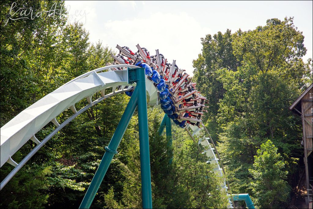 North Huntingdon Wedding Photographer Favorite Personal Images from 2018 - Busch Gardens Williamsburg, VA