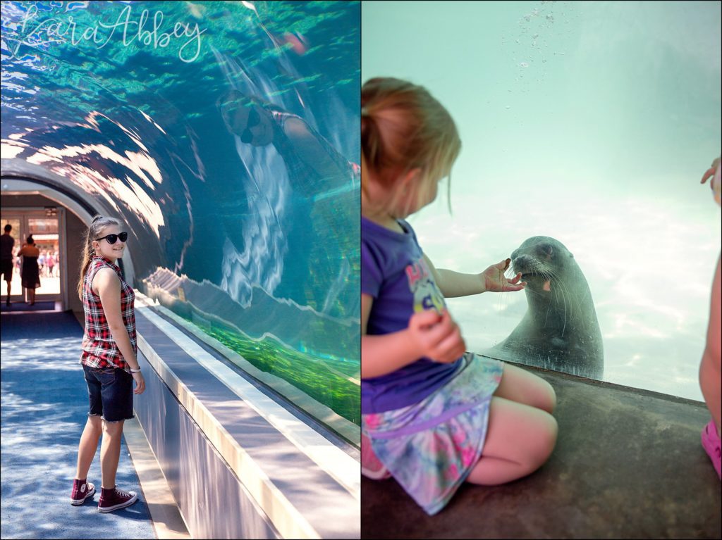 North Huntingdon Wedding Photographer Favorite Personal Images from 2018 - Pittsburgh Zoo