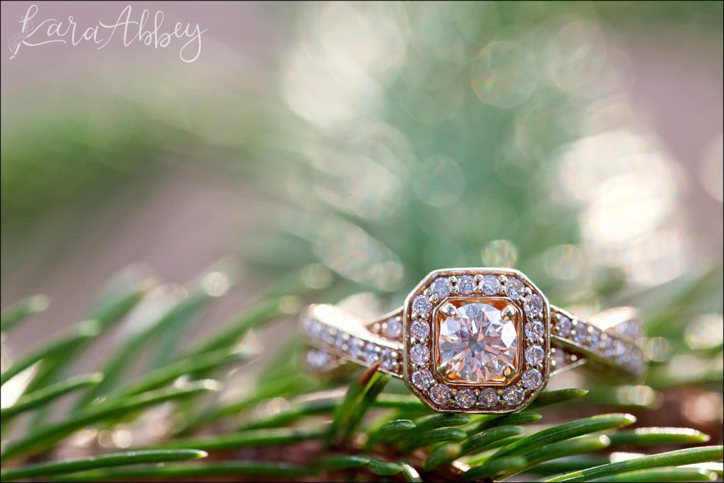 Deep Creek Lake State Park Engagement Session